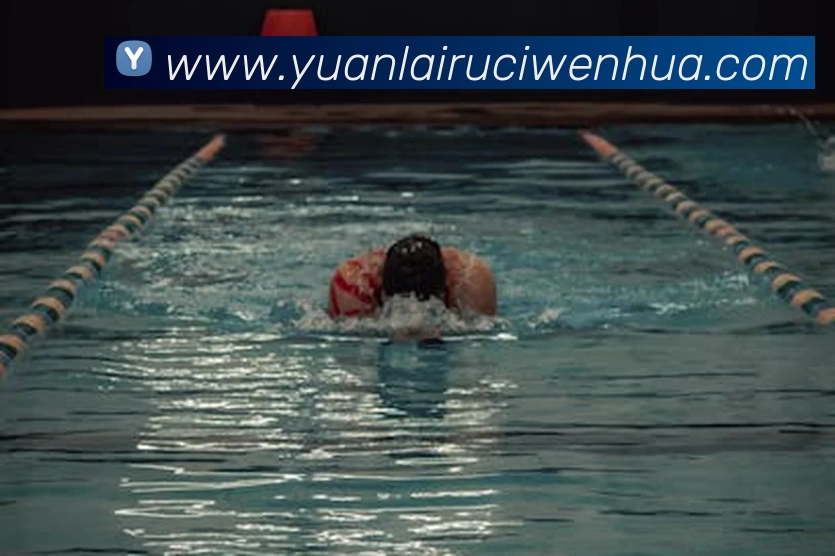 emc易倍(EMCSports)官方网站平台生态图