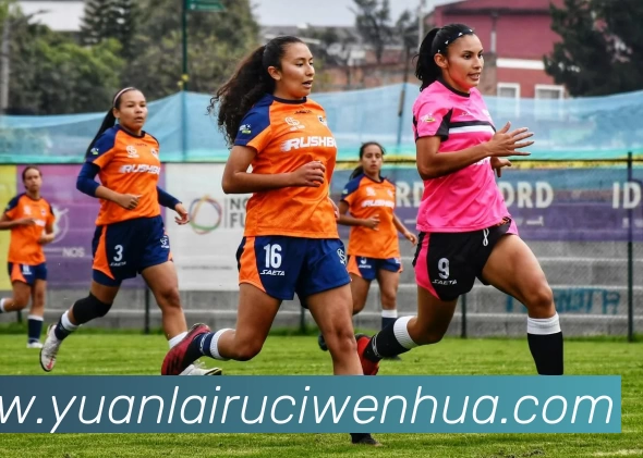 emc易倍(EMCSports)官方网站全站App emc易倍(EMCSports)官方网站全站App